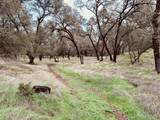 4981 Mourning Dove Lane - Photo 12