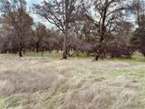 4981 Mourning Dove Lane - Photo 14