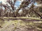 4980 Mourning Dove Lane - Photo 13