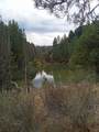 0 Sugar Pine - Photo 1