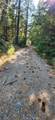 20392 Madrone Springs - Photo 4