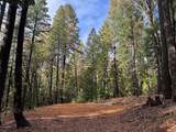 13646 Quaker Hill Cross Road - Photo 1