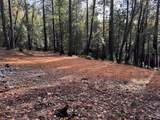 13646 Quaker Hill Cross Road - Photo 12