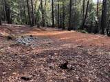 13646 Quaker Hill Cross Road - Photo 13