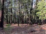 13646 Quaker Hill Cross Road - Photo 16