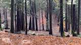 13646 Quaker Hill Cross Road - Photo 17