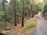13646 Quaker Hill Cross Road - Photo 8