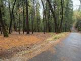 13646 Quaker Hill Cross Road - Photo 9