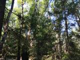 13762 Lightning Tree Road - Photo 13