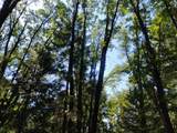 13762 Lightning Tree Road - Photo 15