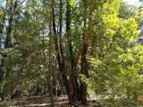 13762 Lightning Tree Road - Photo 18