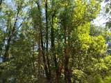 13762 Lightning Tree Road - Photo 20