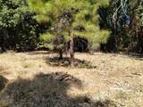 13762 Lightning Tree Road - Photo 21