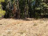 13762 Lightning Tree Road - Photo 3