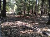 13762 Lightning Tree Road - Photo 8
