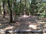 13762 Lightning Tree Road - Photo 9