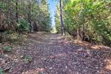 16831 Garden Valley Road - Photo 5
