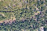 0 Crocker Ranch Road - Photo 5
