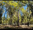 14562 Flicker Drive - Photo 1