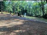 14562 Flicker Drive - Photo 10
