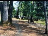 14562 Flicker Drive - Photo 8