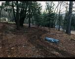 14562 Flicker Drive - Photo 9