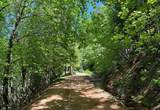 12755 Red Dog Road - Photo 4