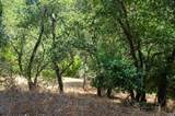 0 Shady Lane Drive - Photo 5