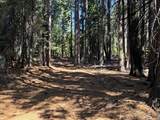 13325 Serpentine Way - Photo 1