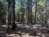 13325 Serpentine Way - Photo 13