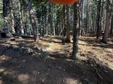 13325 Serpentine Way - Photo 39
