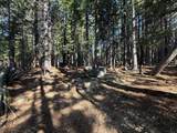 13325 Serpentine Way - Photo 40