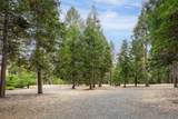 10623 Yearling Road - Photo 10