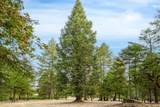 10623 Yearling Road - Photo 11