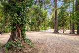 10623 Yearling Road - Photo 12