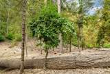 10623 Yearling Road - Photo 13