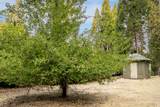 10623 Yearling Road - Photo 17