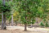 10623 Yearling Road - Photo 41