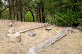 10623 Yearling Road - Photo 43