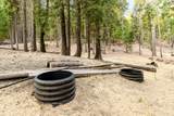 10623 Yearling Road - Photo 45