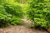10623 Yearling Road - Photo 47