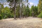 10623 Yearling Road - Photo 52