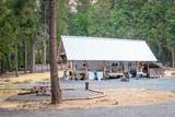 10623 Yearling Road - Photo 7