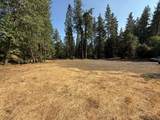 16970 Old Downieville Highway - Photo 4