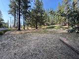 16970 Old Downieville Highway - Photo 9