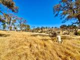 13031 Lone Tree Way - Photo 11