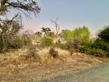 13031 Lone Tree Way - Photo 12