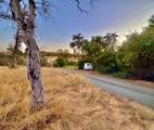 13031 Lone Tree Way - Photo 13
