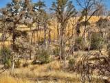 13031 Lone Tree Way - Photo 2