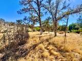13031 Lone Tree Way - Photo 7